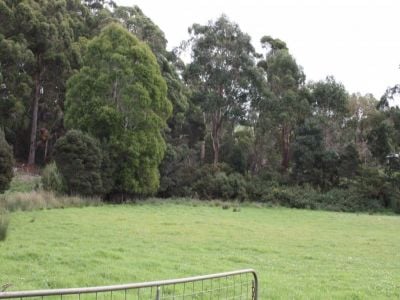 Lot 1 Wilmot Road, FORTH, Forth - Thumbnail 3