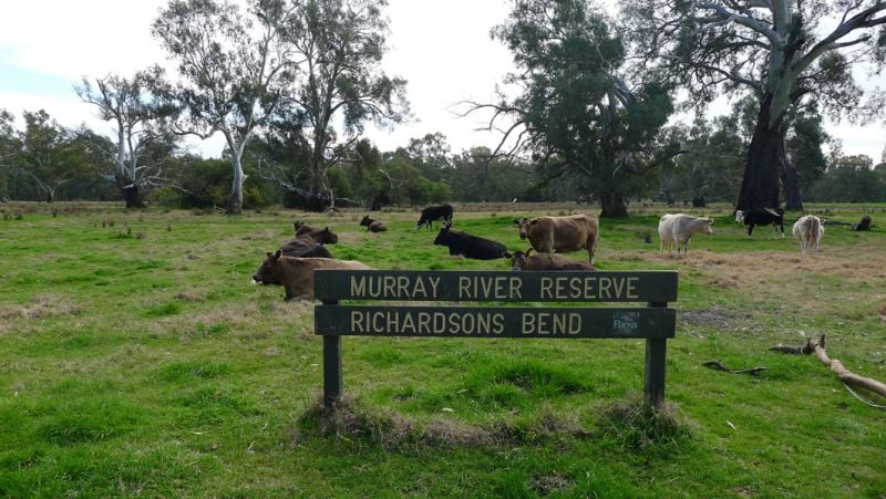 Moss Road Barnawartha North VIC, Barnawartha North - Thumbnail 7