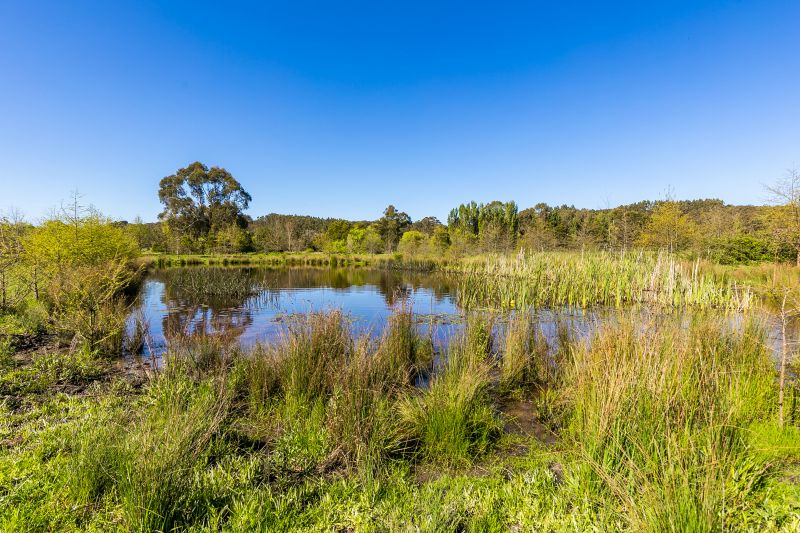 414 Pennyroyal Valley Road Pennyroyal VIC, Pennyroyal - Thumbnail 2