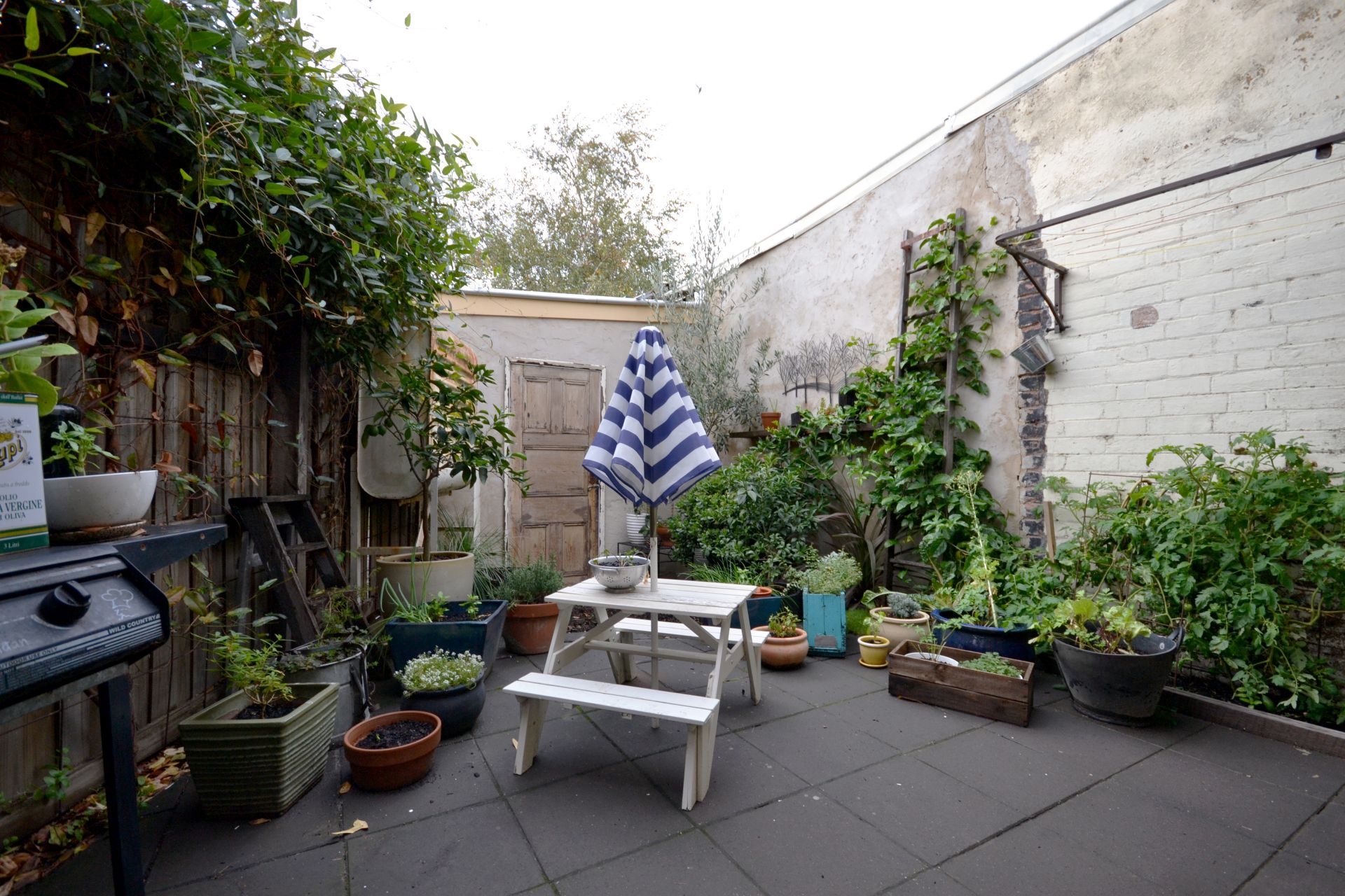 SUSTAINABILITY AND COMFORT