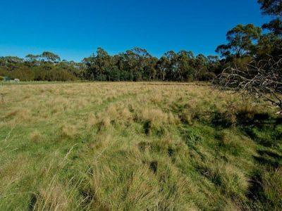 2/29A York Street, LATROBE, Latrobe - Thumbnail 2