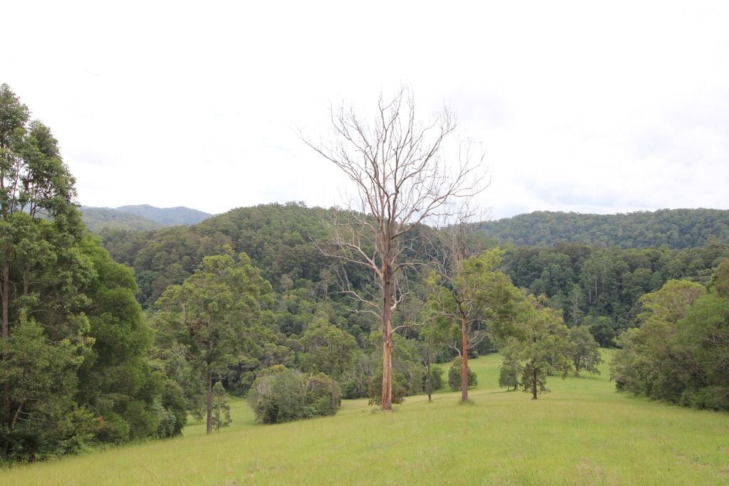 Lot 101 Pappinbarra Rd, PAPPINBARRA NSW 2446