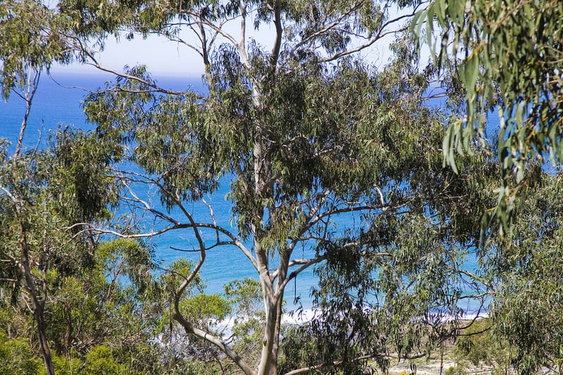 11  Bass Avenue, Separation Creek, VIC, Separation Creek - Thumbnail 3