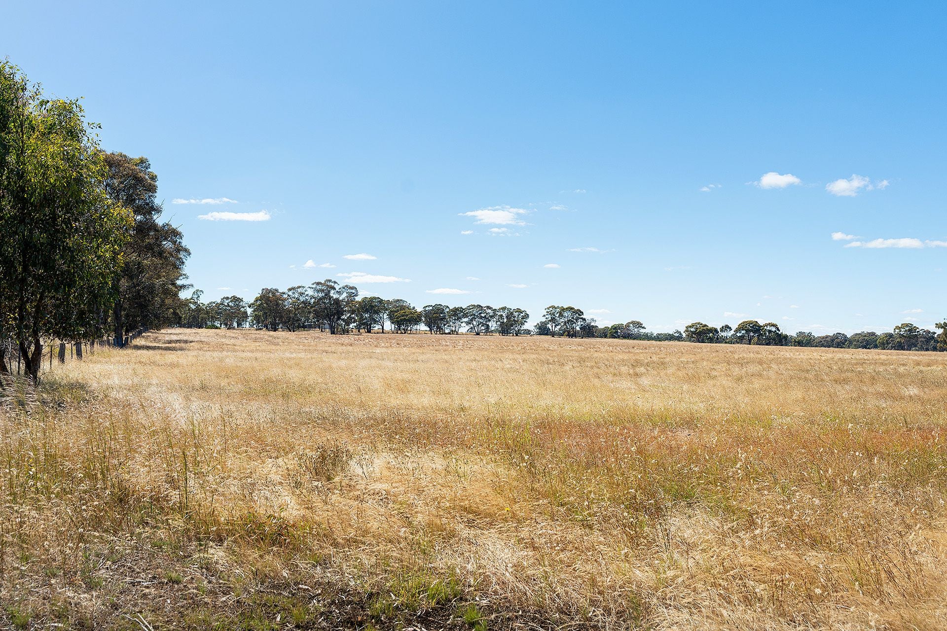 20 Ross Drive, Castlemaine - Thumbnail 5