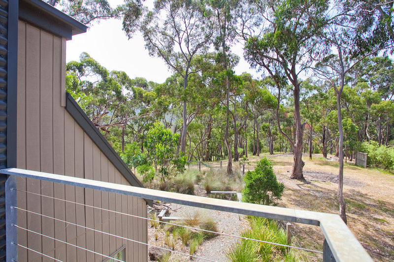 7 Gardiner Avenue, Lorne, VIC, Lorne - Thumbnail 5