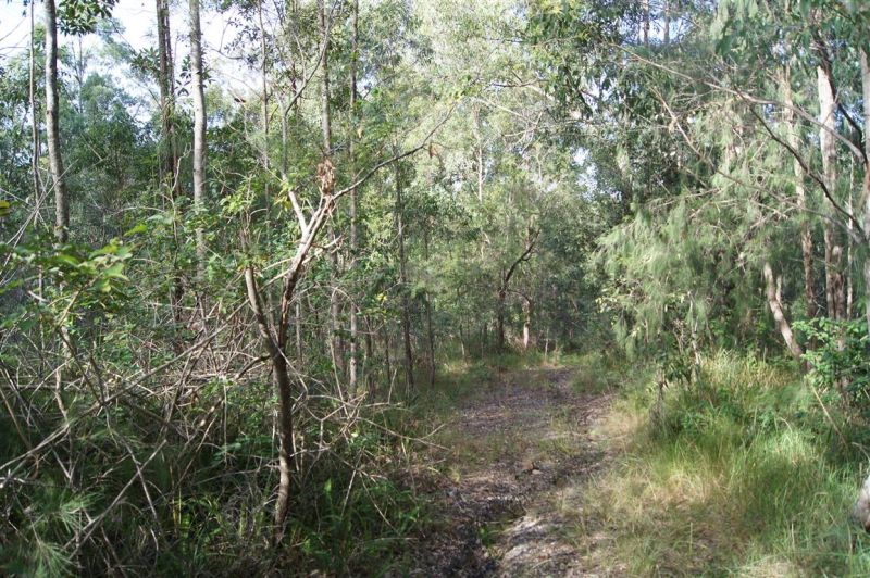 Real Estate For Sale 319 Dirty Creek Road Dirty Creek , NSW