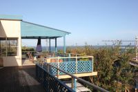 7 Attunga Road Newport NSW, Newport - Thumbnail 8