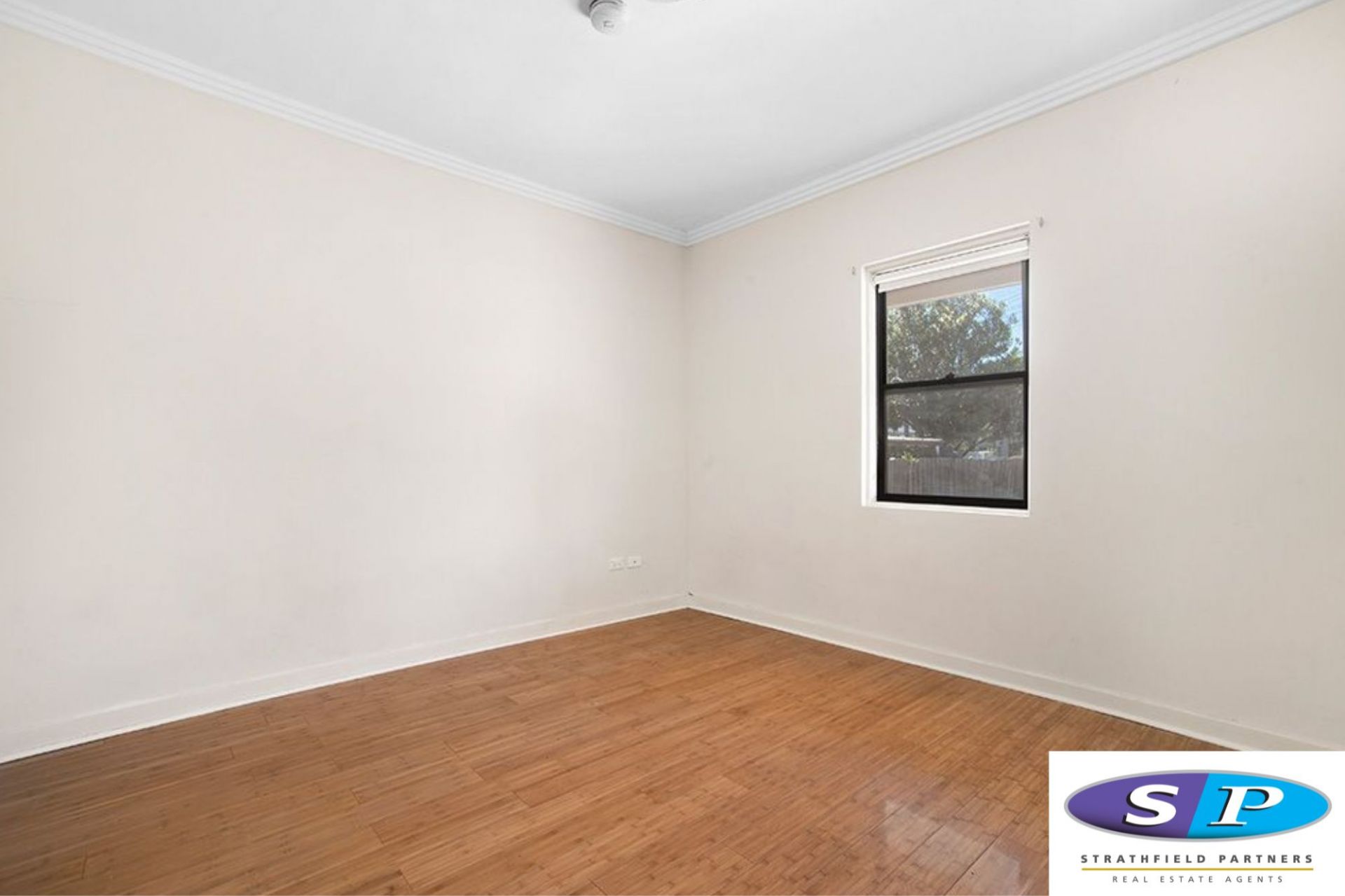 6 Parnell Street, Strathfield, Strathfield - Thumbnail 6