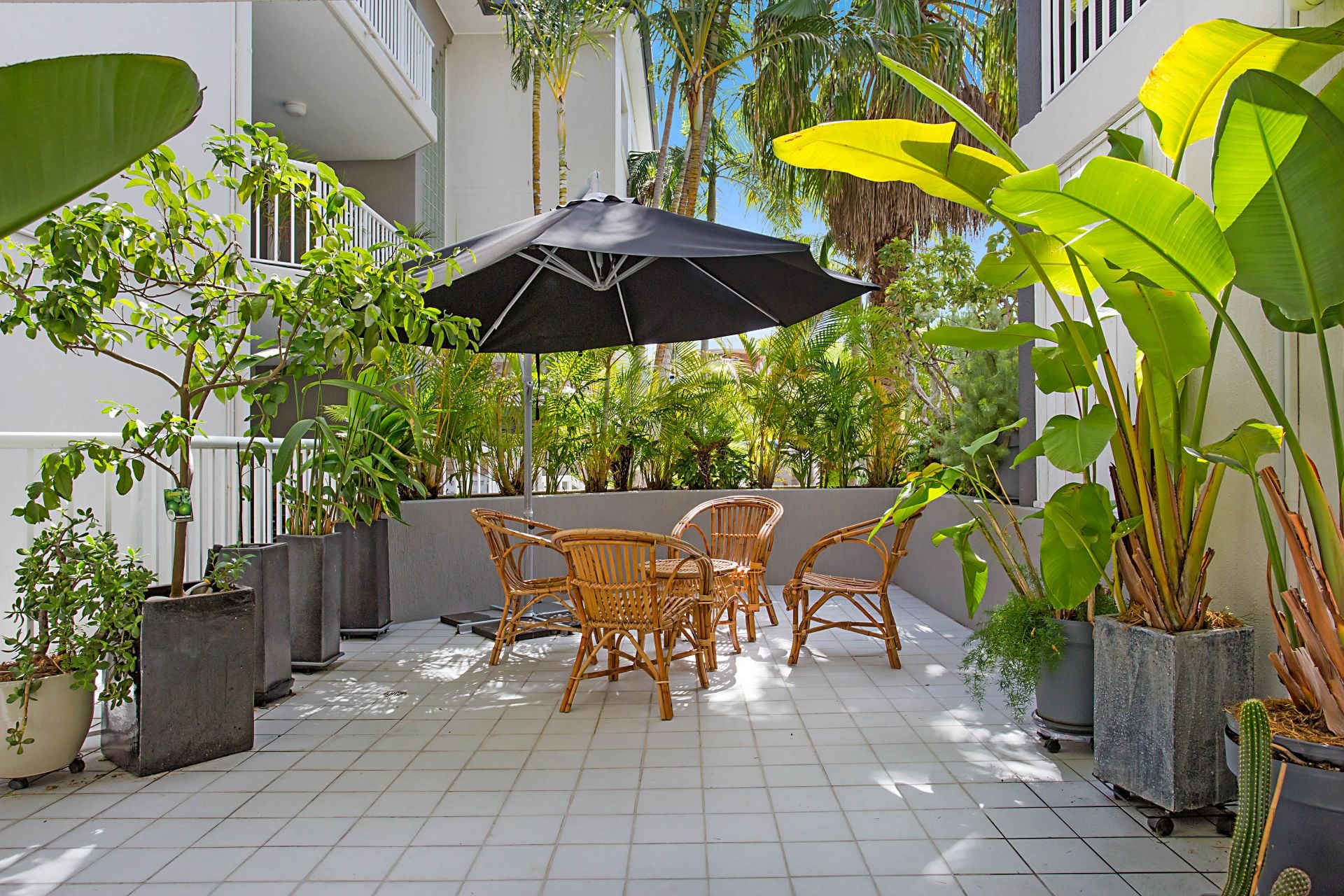 3/10 Rosewood Avenue Broadbeach QLD, Broadbeach - Thumbnail 2