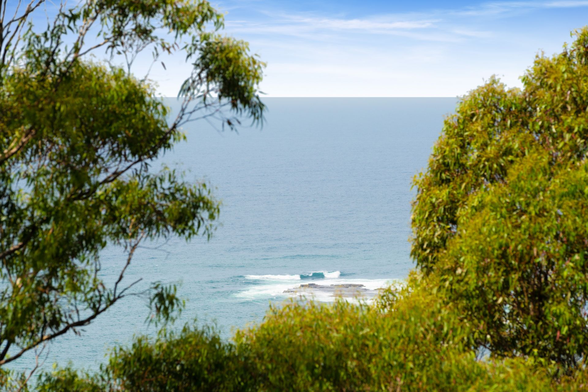 89 Grandview Drive Newport NSW, Newport - Thumbnail 8