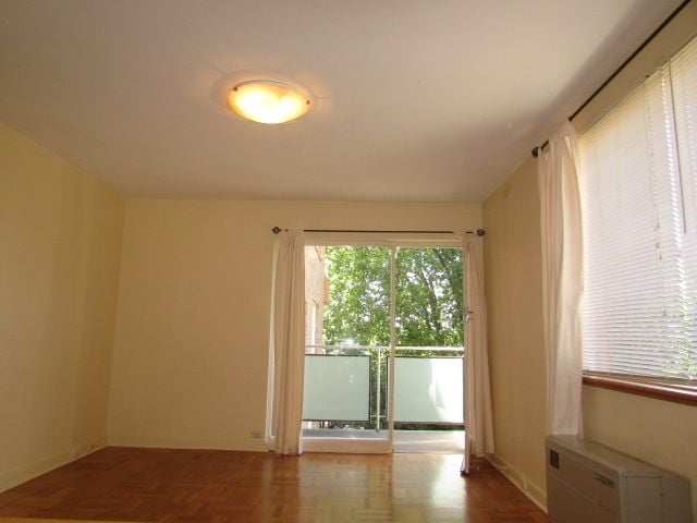 **Spacious and Sunny**