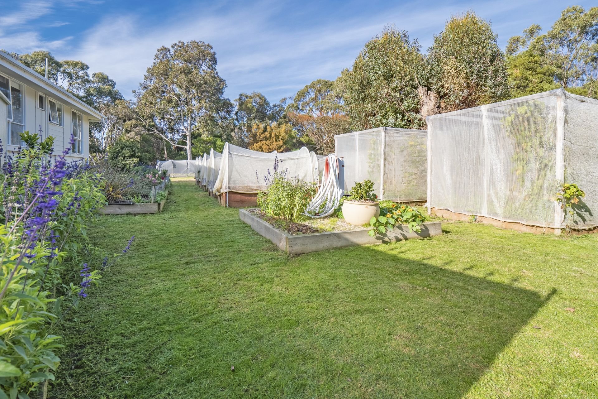 Real Estate For Sale 849 Great Ocean Road Bellbrae , VIC