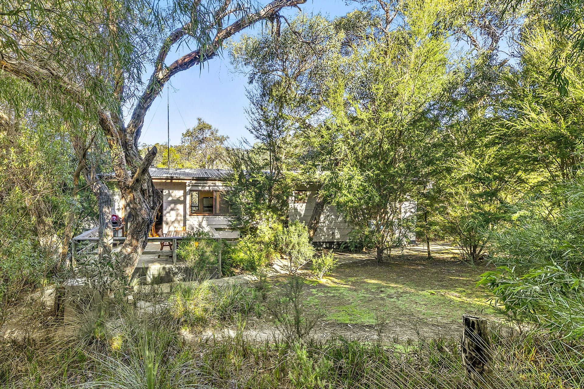 8 Niblick Street, Anglesea - Thumbnail 2
