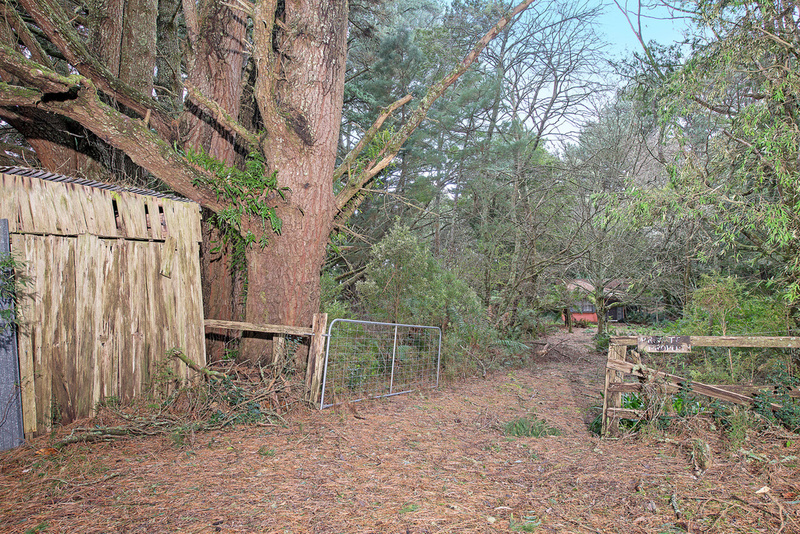 1100 Skenes Creek Road, Tanybryn, VIC, Tanybryn - Thumbnail 2