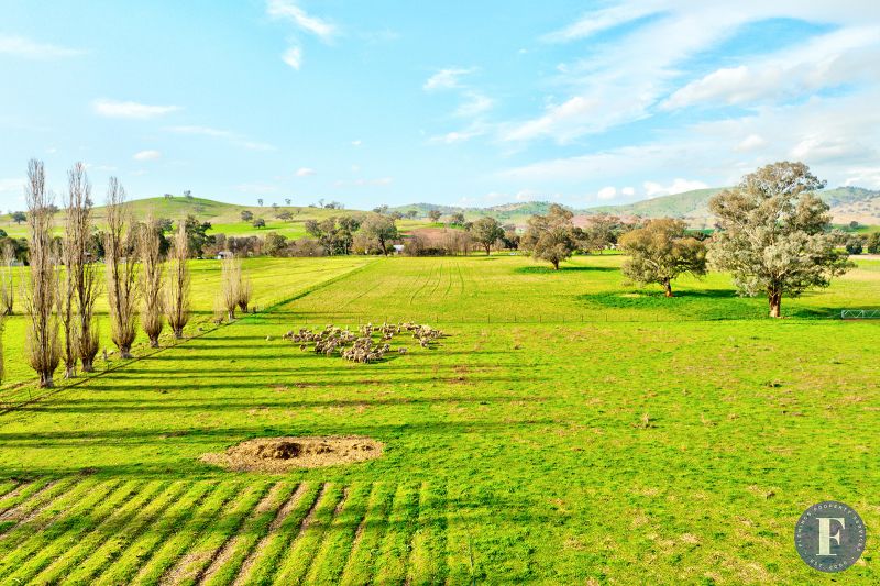 1593 Muttama Road, Muttama NSW, Muttama - Thumbnail 4