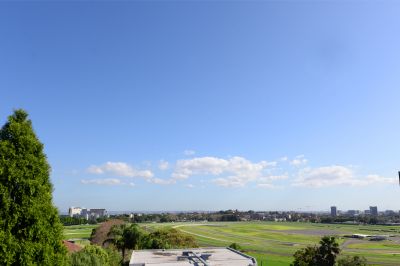 6/2 Holkham Avenue RANDWICK NSW