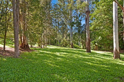 A Private and peaceful home bordered by Cedar and branch creek and 40 acre parkland reserve