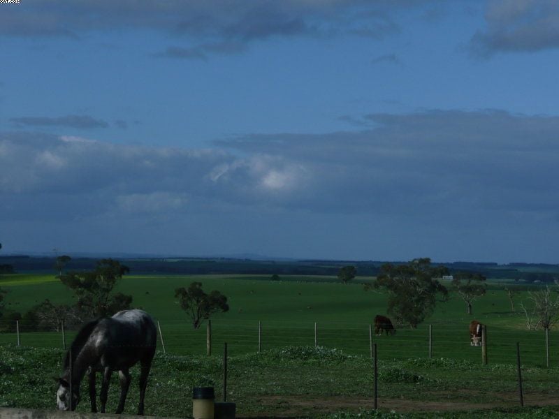 225 Birregurra-Yeodene Road YEODENE VIC, Yeodene - Thumbnail 4