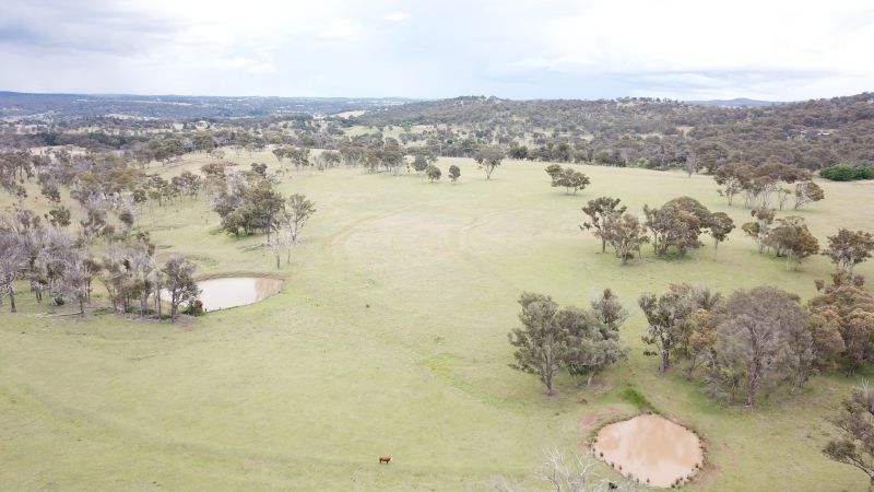 Build your dream here!