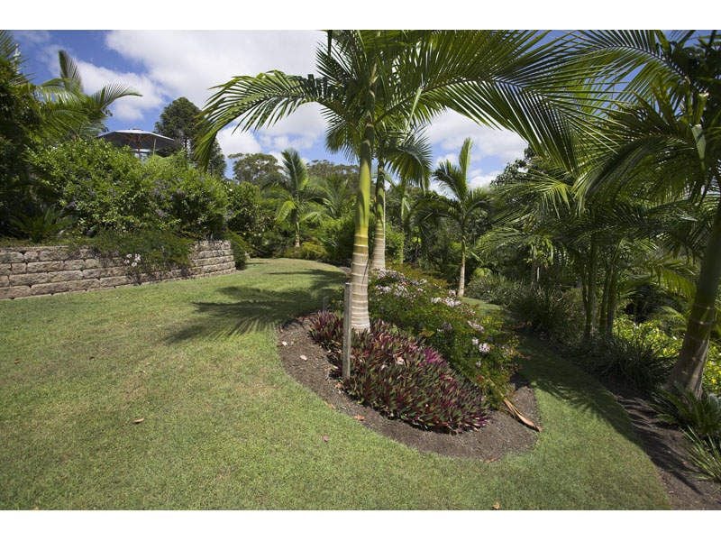 10 Toulambi Drive BUDERIM QLD, Buderim - Thumbnail 6