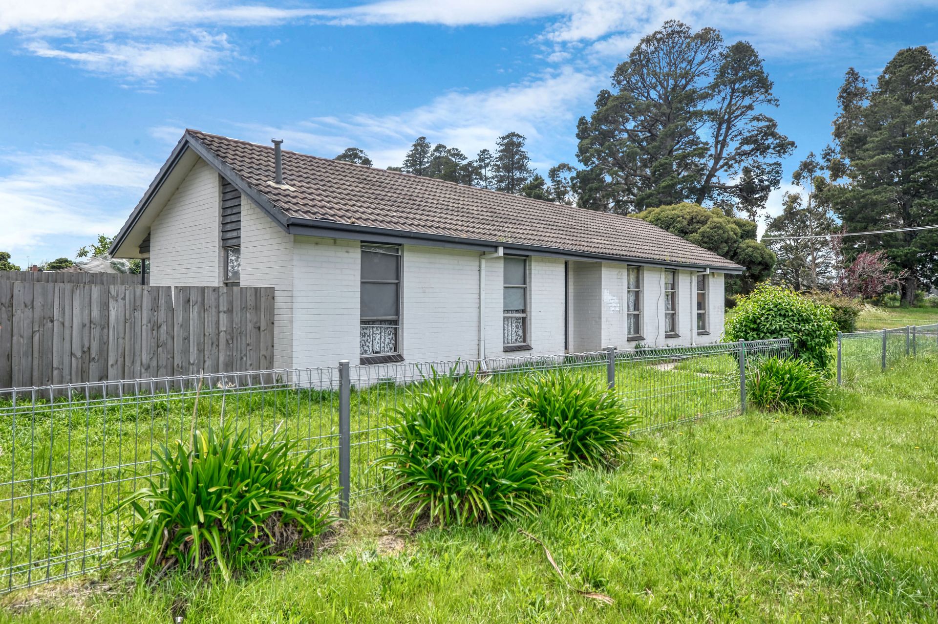 14 Reed Street, Creswick, Creswick, Creswick - Thumbnail 3