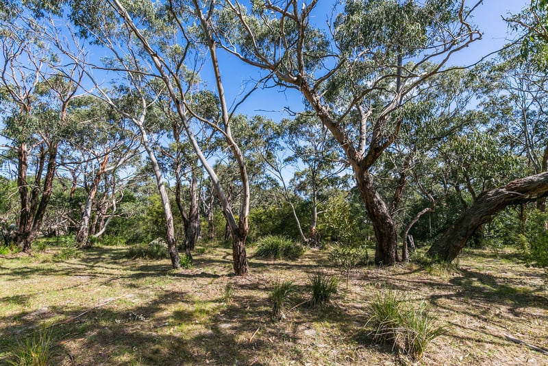 54 Aireys Street, Aireys Inlet, VIC, Aireys Inlet - Thumbnail 7