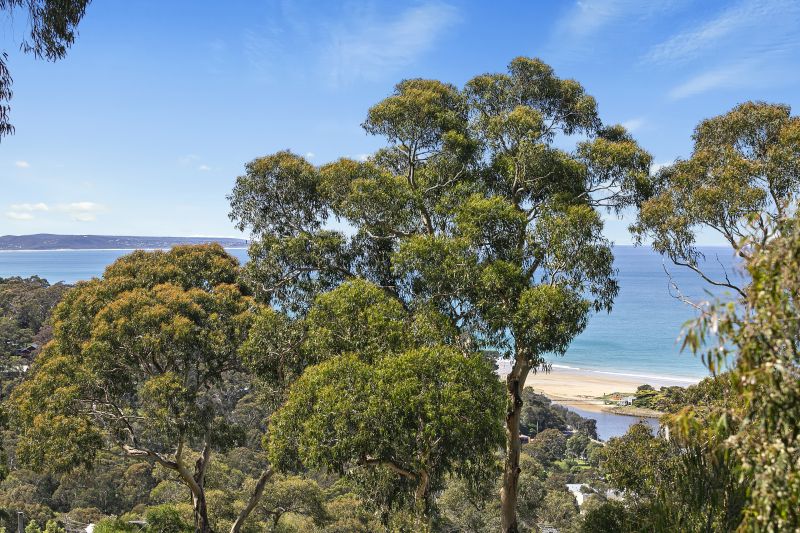 24C Toorak Terrace, Lorne, VIC, Lorne - Thumbnail 7