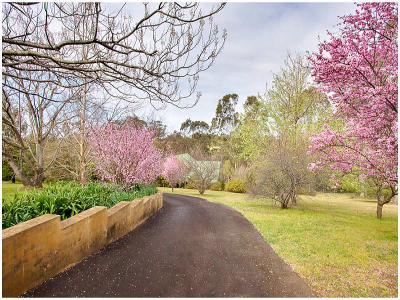 30 Innis Place, Kurrajong Hills - Thumbnail 2