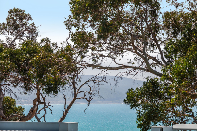 18/260 Mountjoy Parade, Lorne, VIC, Lorne - Thumbnail 3