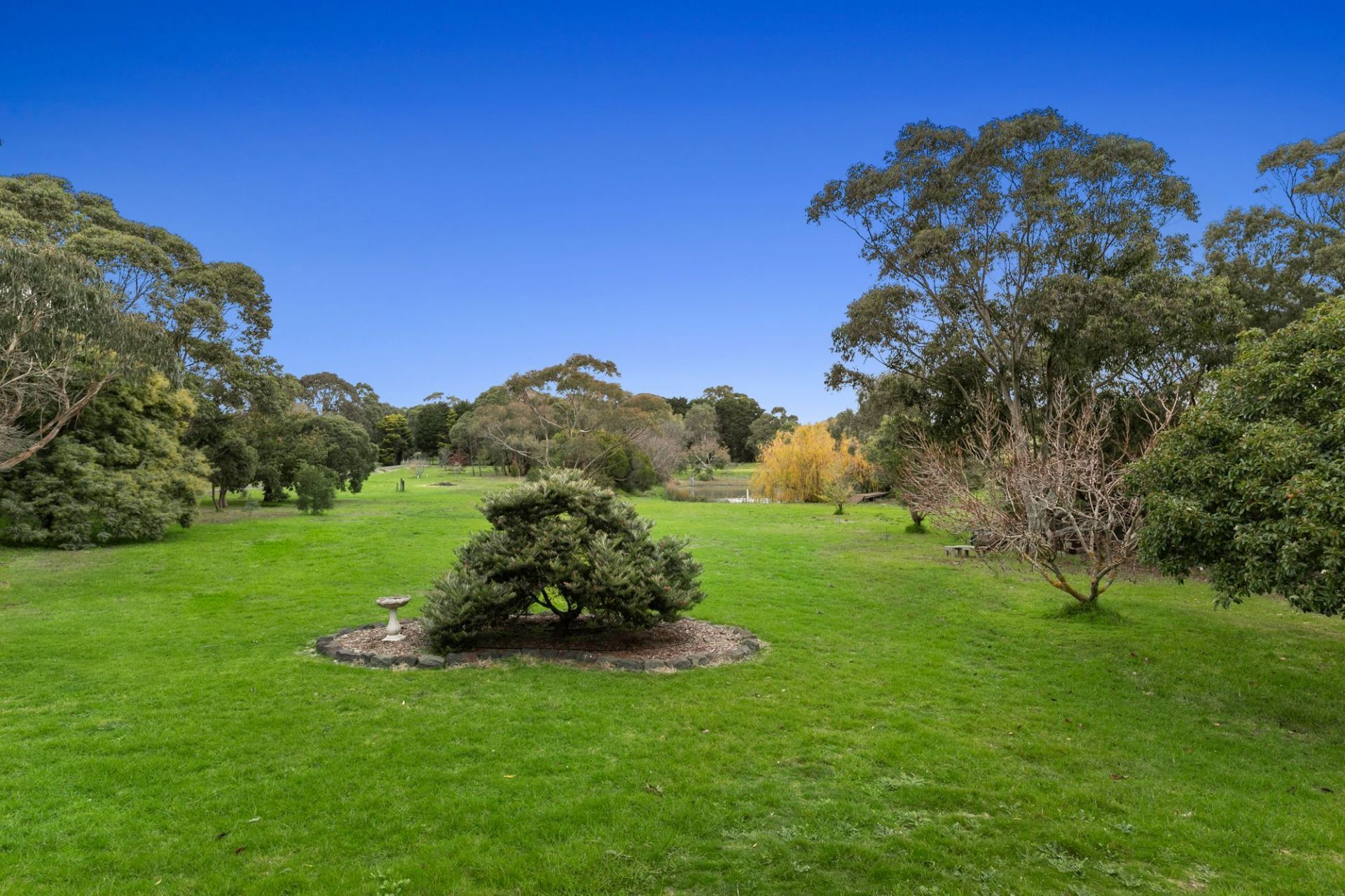6-10 Campbell Street Drysdale VIC, Drysdale - Thumbnail 3