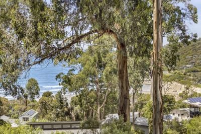 7 Wallace Street, Wye River, VIC