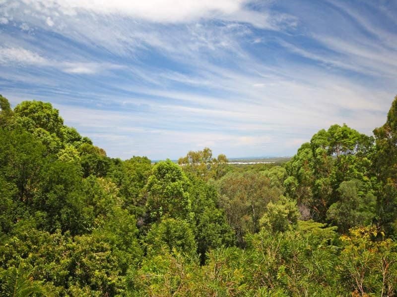 19 Nyes Crescent Buderim QLD, Buderim - Thumbnail 3