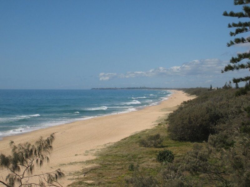 13 Bermagui Crescent BUDDINA QLD, Buddina - Thumbnail 3