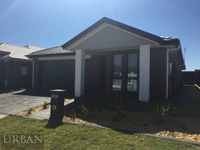 Gledswood Hills | For Lease | 12 (Lot 1015) Warburn Street | Brand New Executive 4 Bedroom Home Plus Rumpus Room!