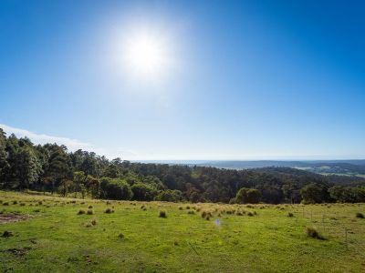 Lot B Omaru Lane, Bald Hills
