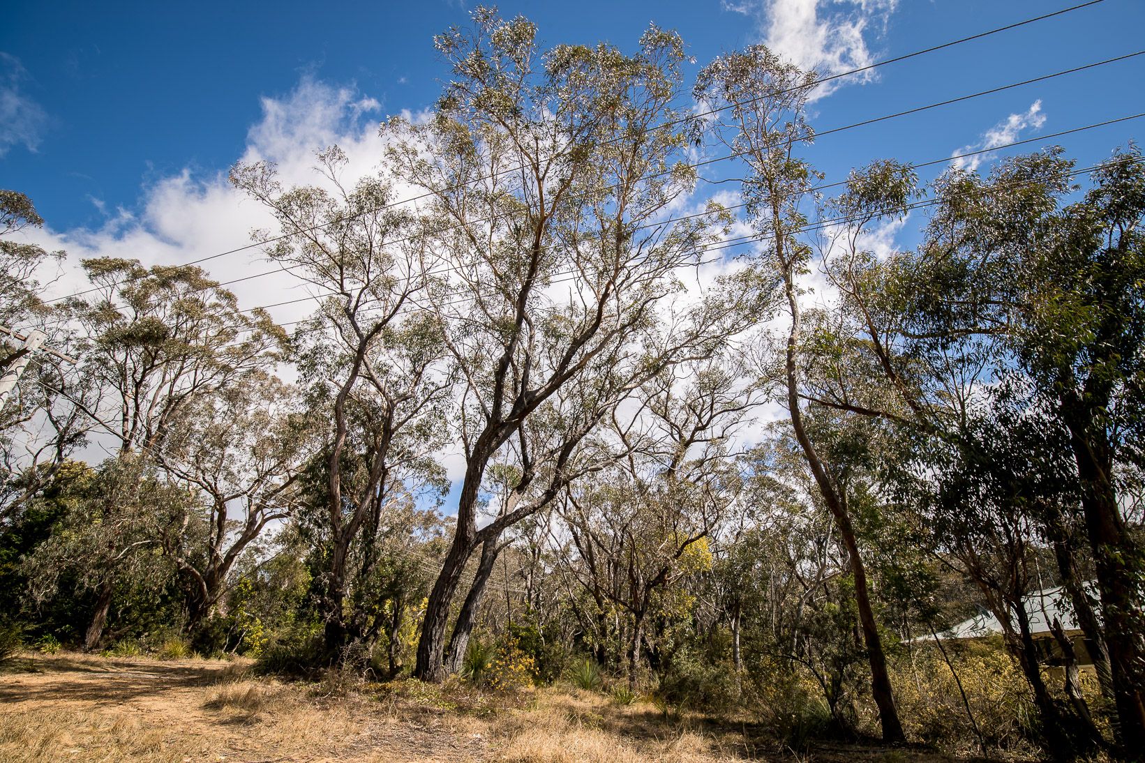 2 Fifth Avenue Katoomba 2780