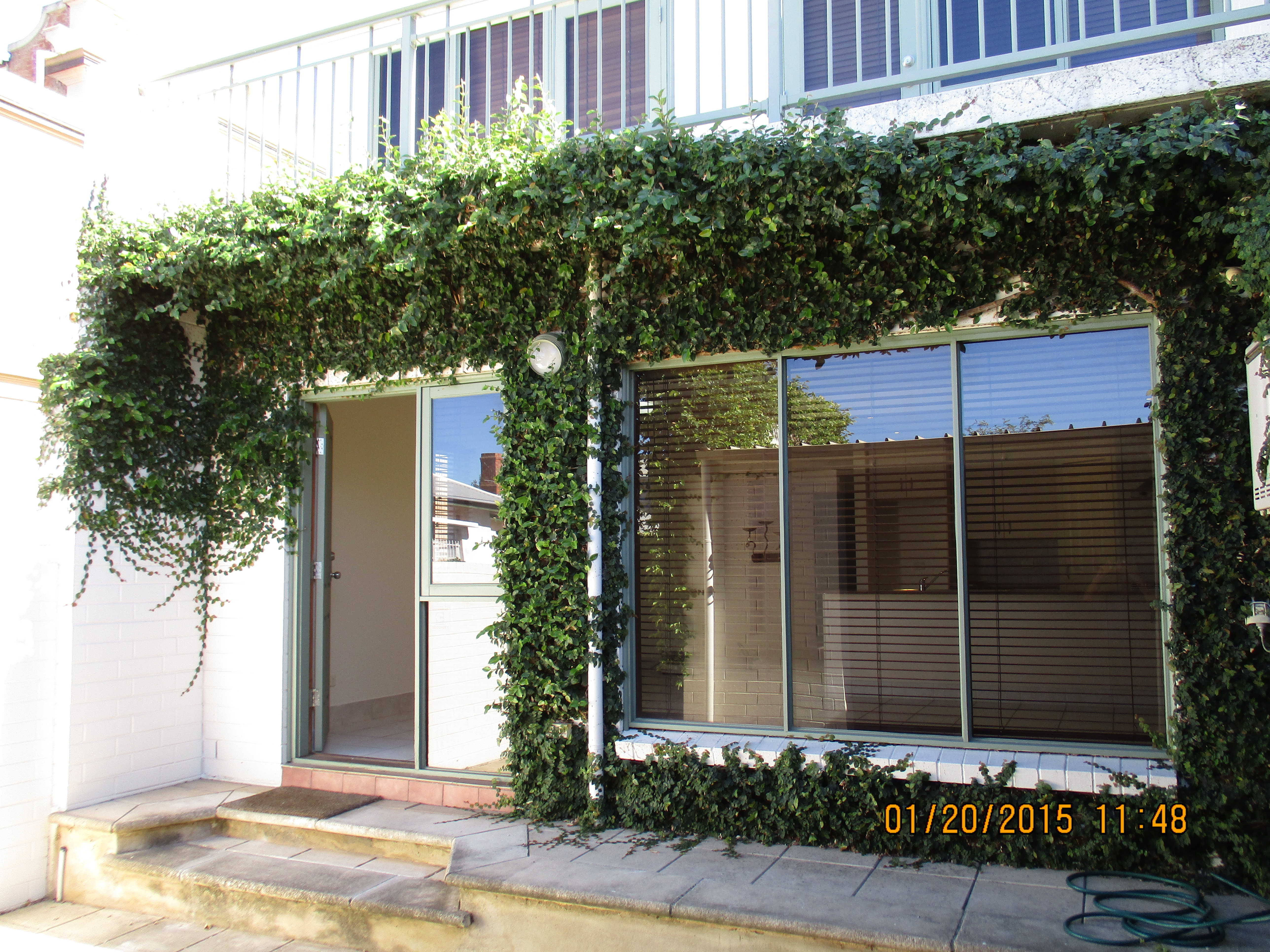 19 Stanley Street North Adelaide 5006