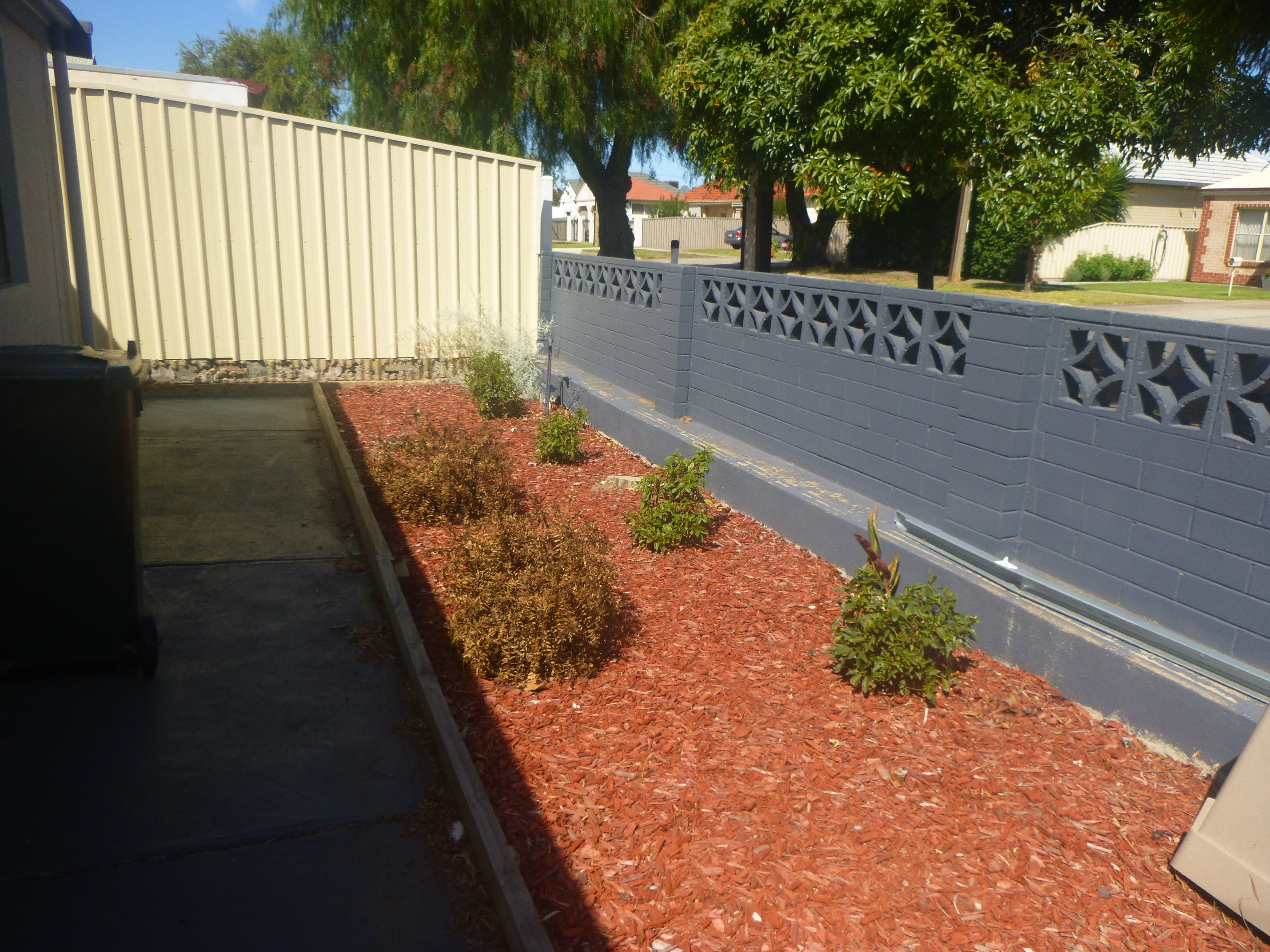 29  Palm Avenue Royal Park 5014