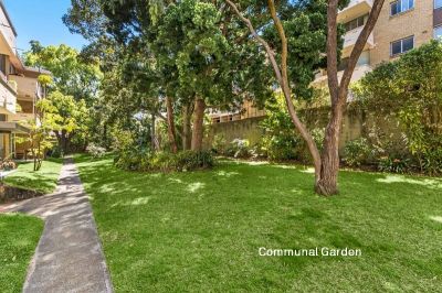 65/6-8 Frances Street, Randwick