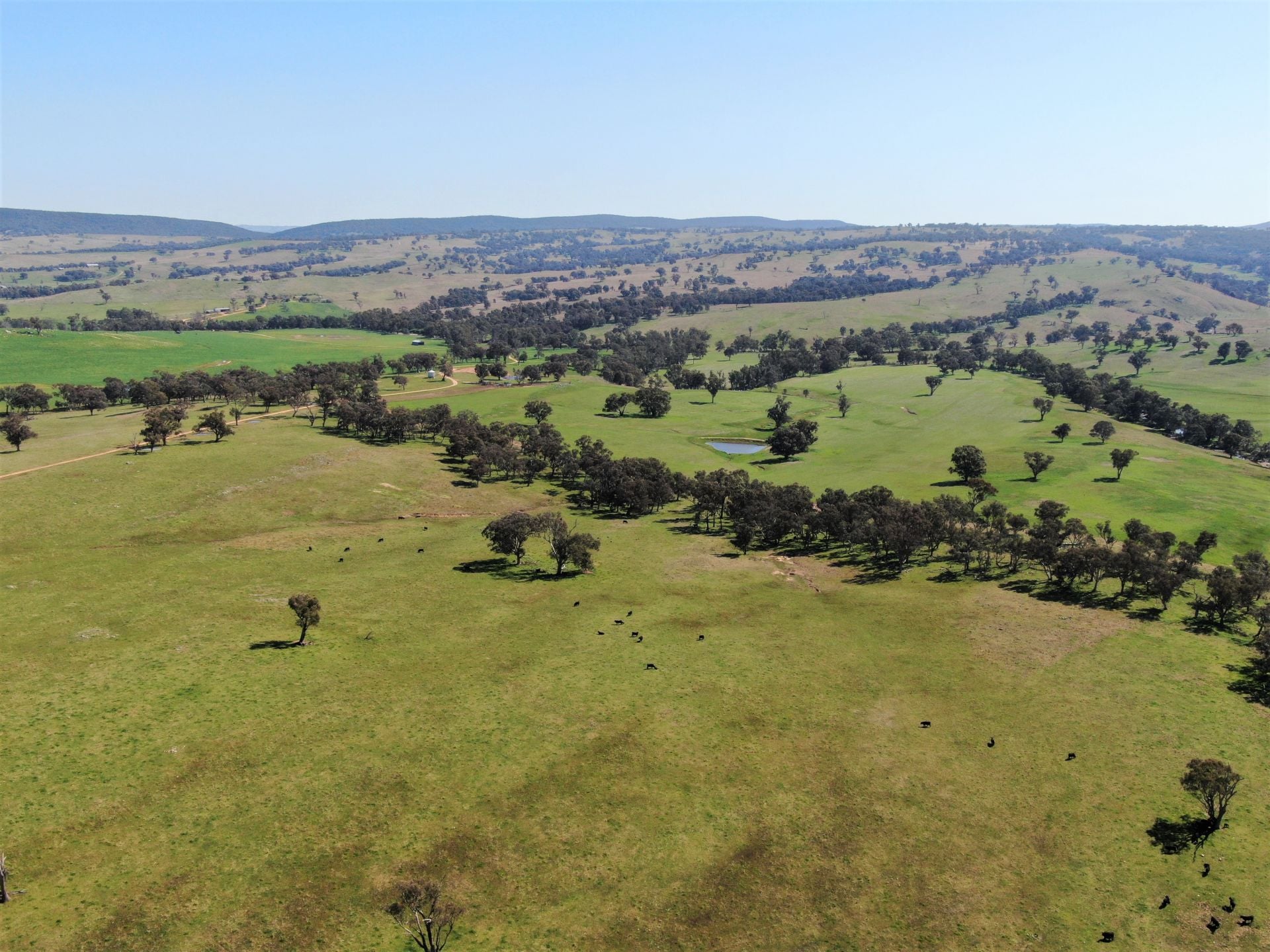 897 Murringo Flats Road, Murringo, Murringo - Thumbnail 8