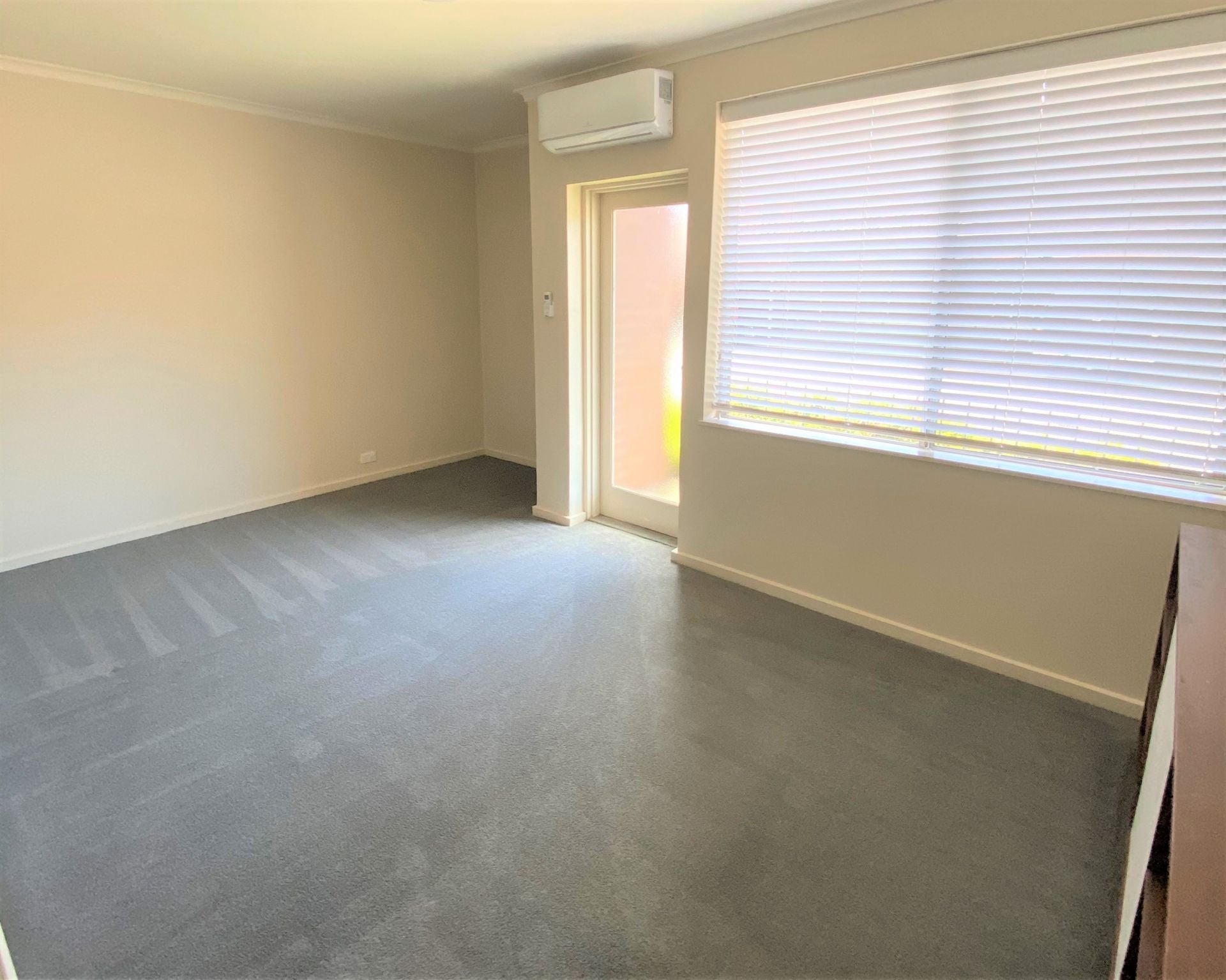 Bright, Renovated Apartment!