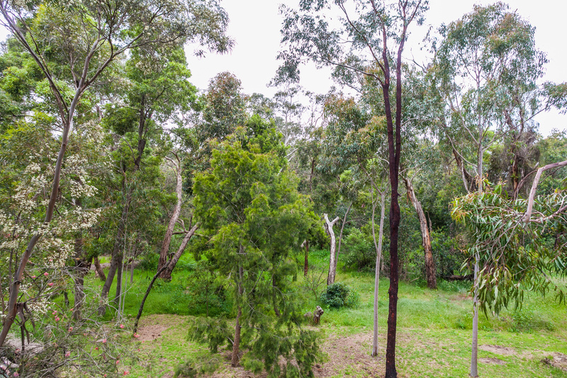 1 Fernald Avenue, Anglesea, VIC, Anglesea - Thumbnail 2