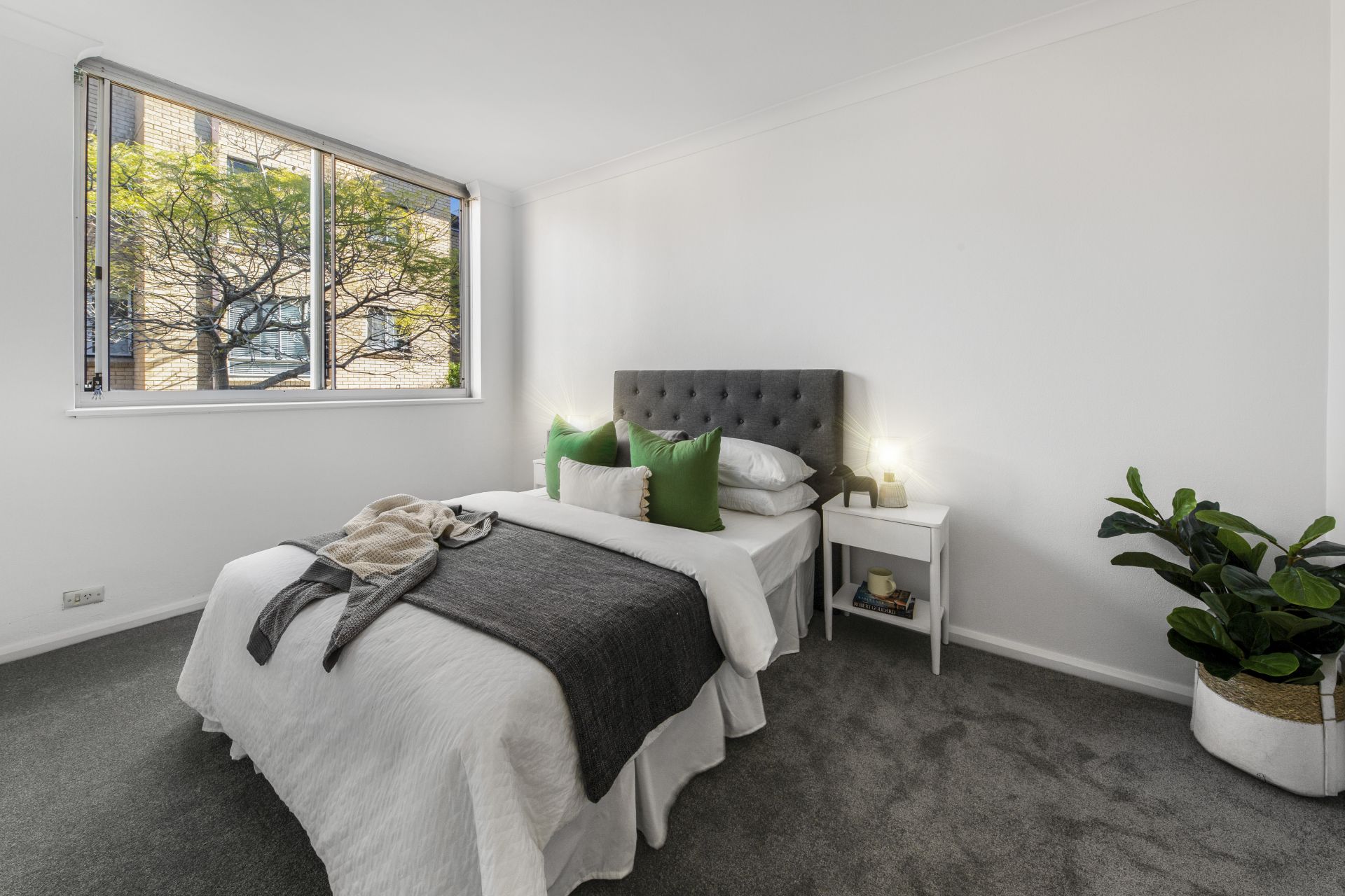 16/65 Avoca Street, Randwick, Randwick - Thumbnail 6