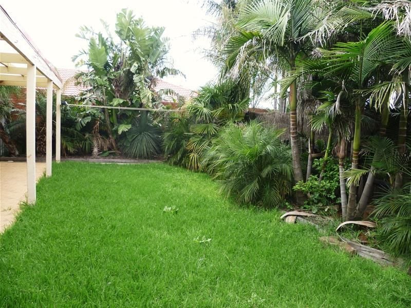 Your Tropical Oasis in Suburbia!
