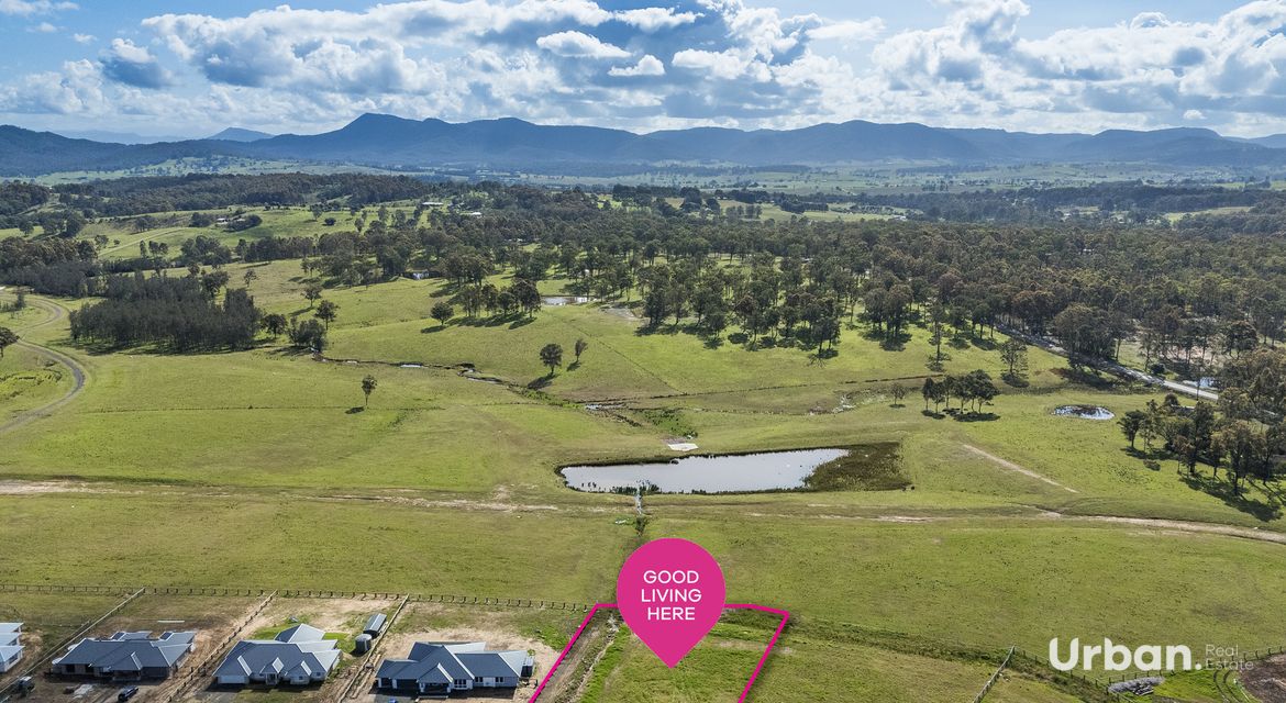 Branxton 14 Pistacia Grove