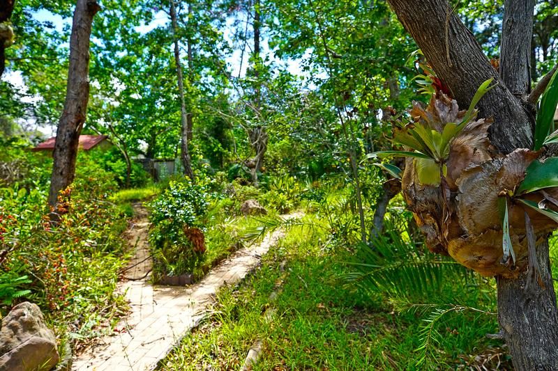 62 Brook Road Glenbrook 2773