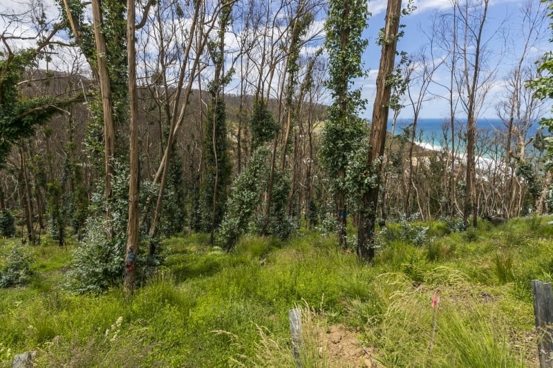 3 Dunoon Road, Wye River, VIC, Wye River - Thumbnail 3