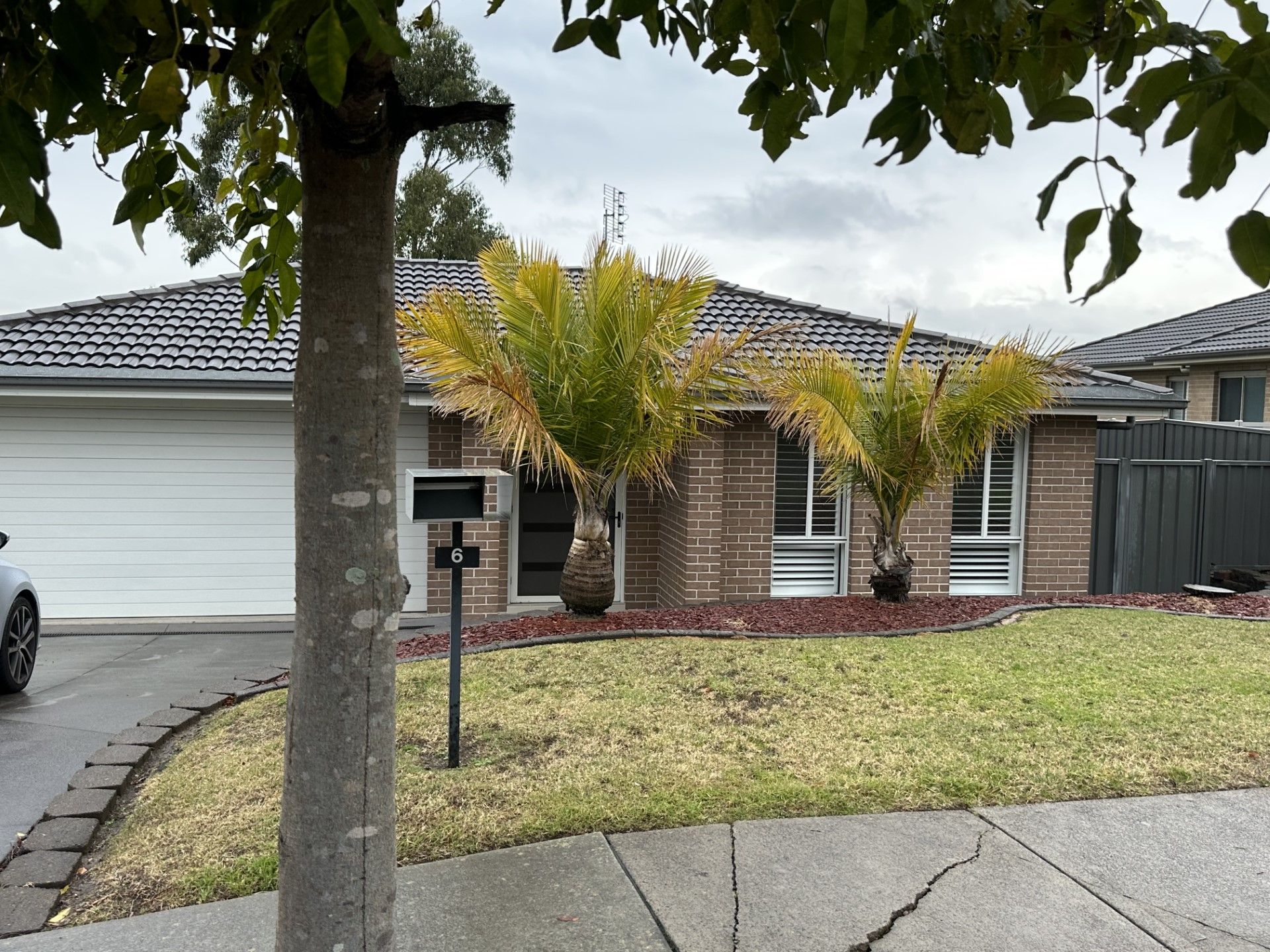 6 Roslin Place, Cameron Park Street Property