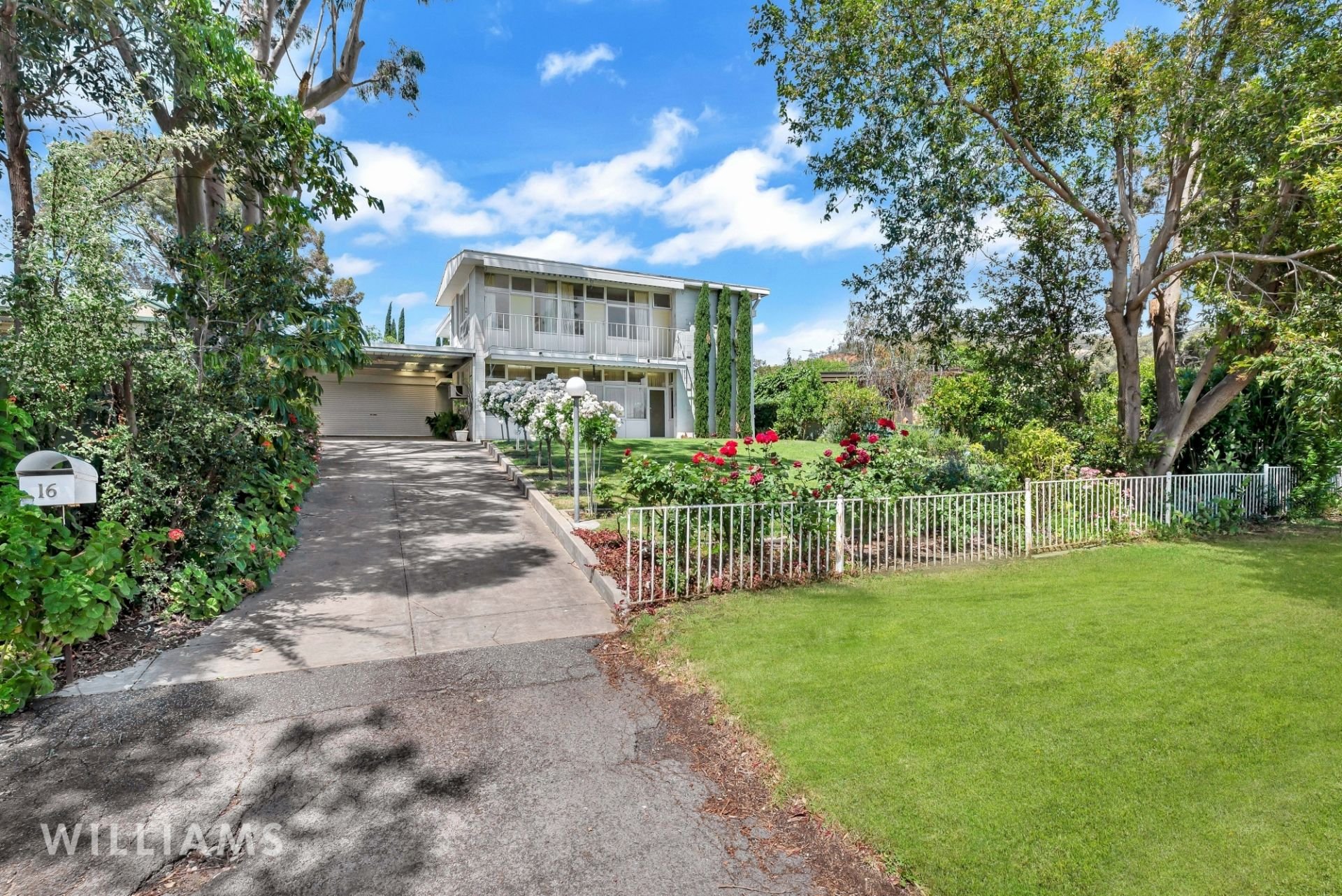 16 Street, Torrens Park Williams Real Estate