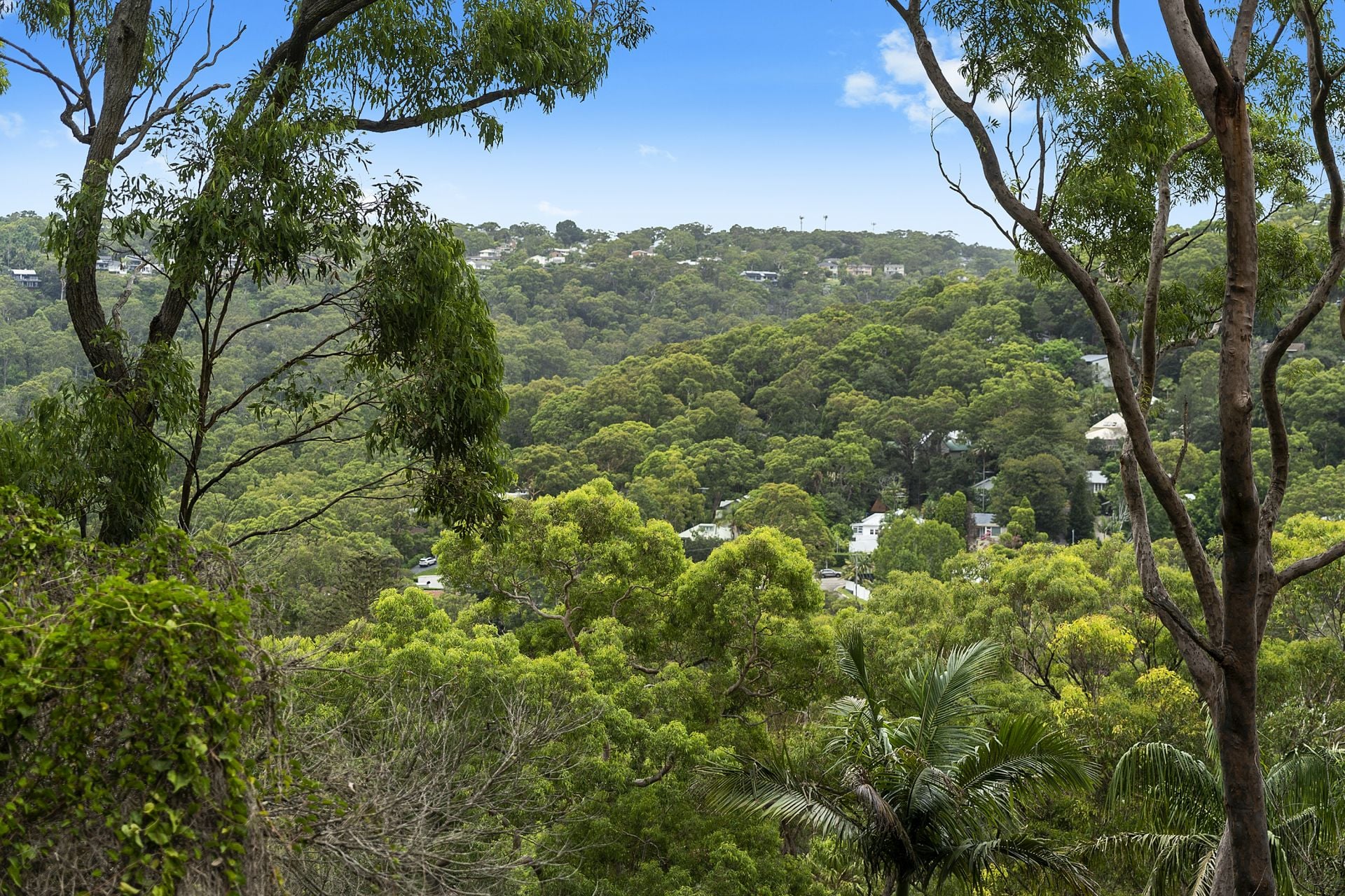 25 Capua Place Avalon Beach NSW, Avalon Beach - Thumbnail 3
